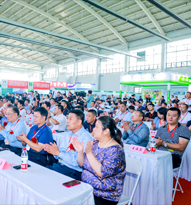 企業(yè)舵手